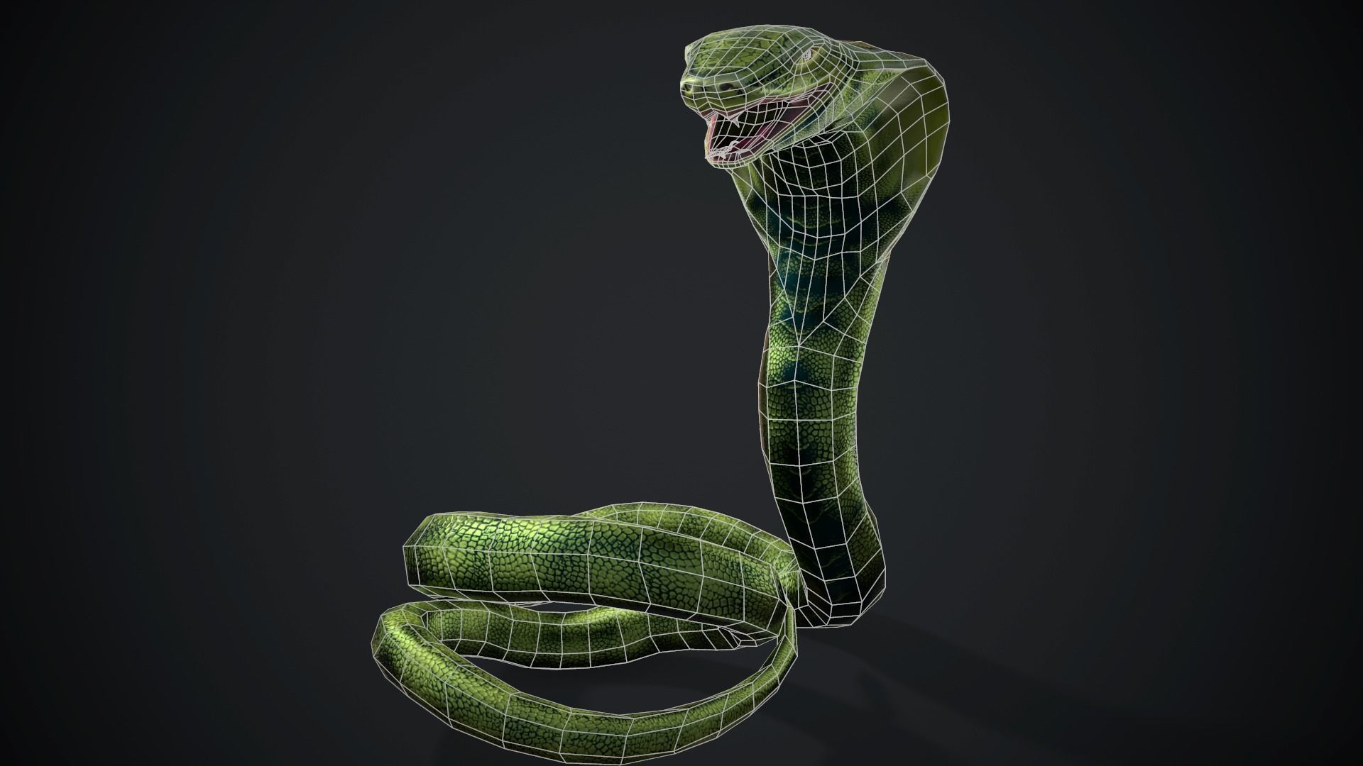 Green Snake Low-poly 3D model_1