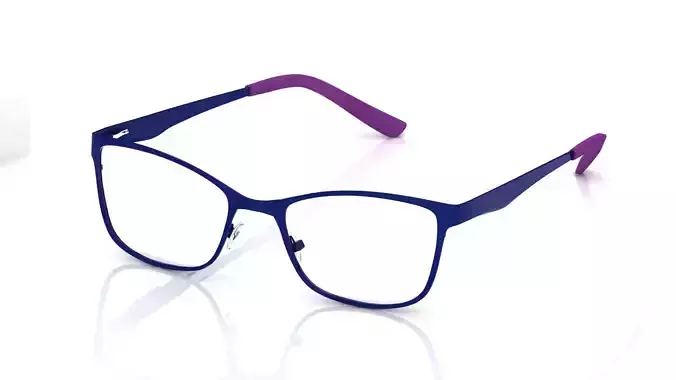 Eyeglasses for Men and Women 3D print model