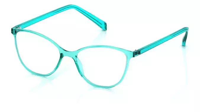 Eyeglasses for Men and Women 3D print model