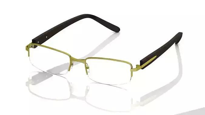 Eyeglasses for Men and Women 3D print model