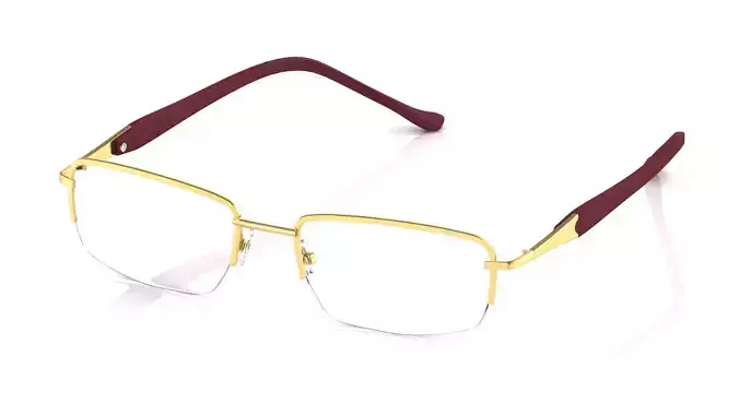 Eyeglasses for Men and Women 3D print model