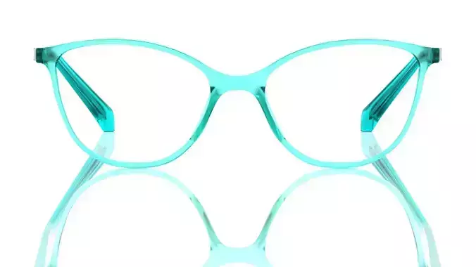 Eyeglasses for Men and Women 3D print model