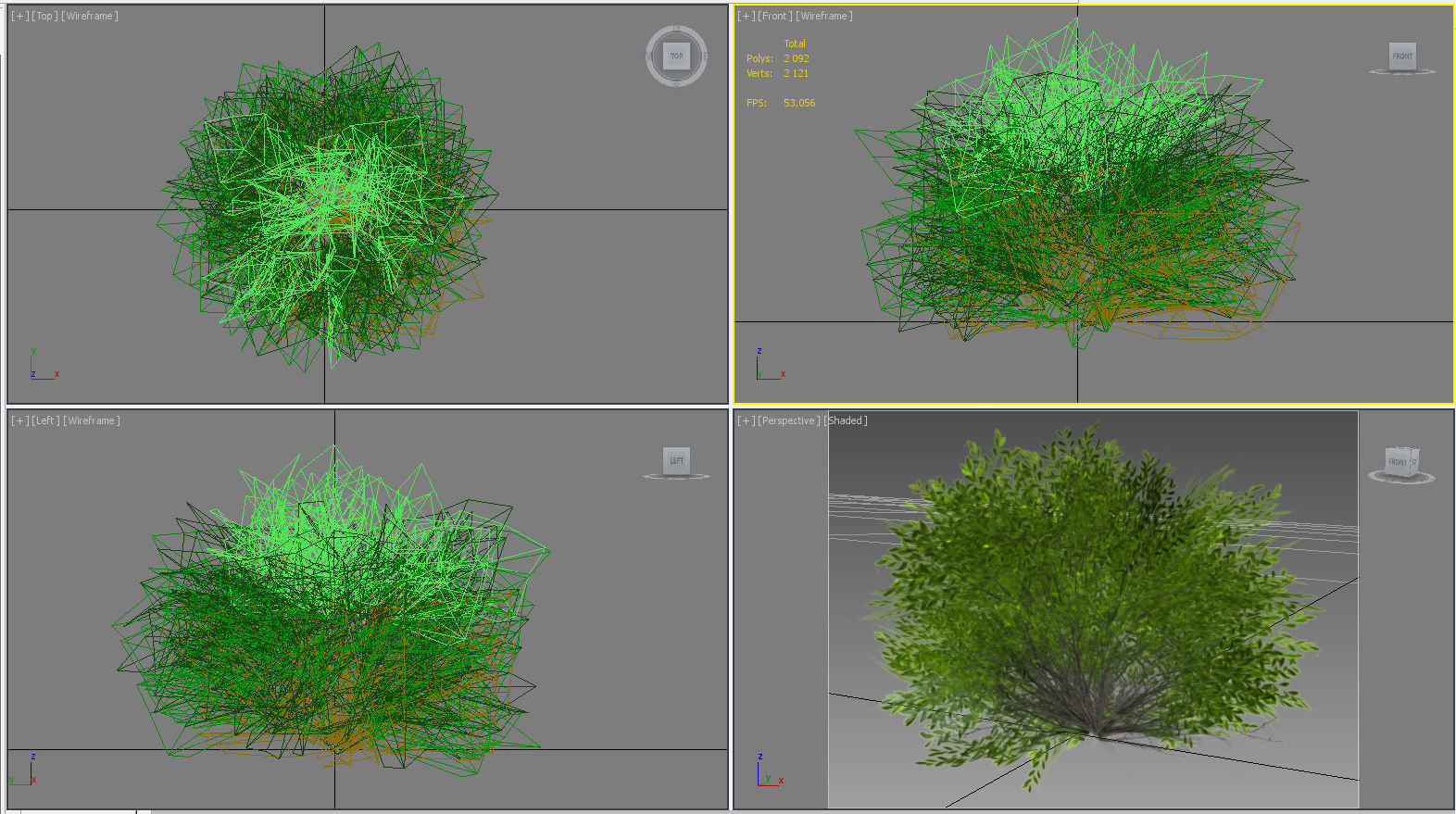 Bush Willow  Salix purpurea Nana Low-poly 3D model_11
