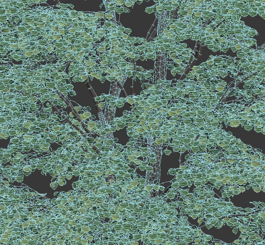 Tilia europaea Nr 8 H7-19m Five forest trees  3D model_5