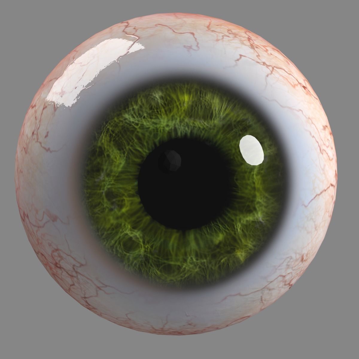 Realistic eye human Low-poly 3D model