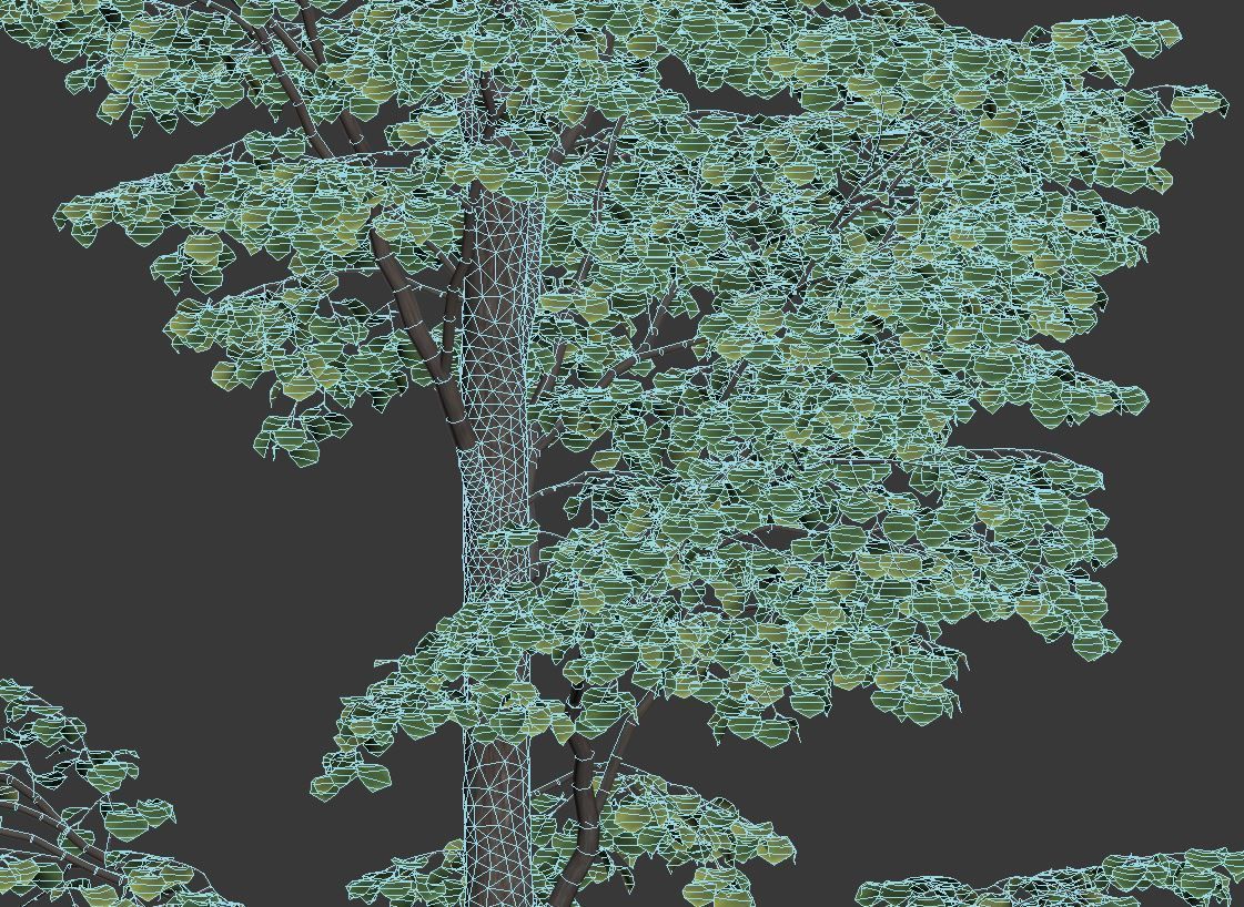 Tilia europaea Nr 9 H19-27m Five forest trees  3D model_6