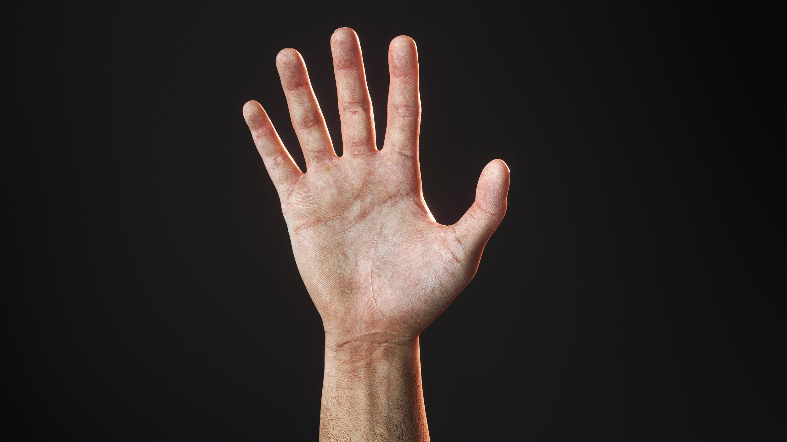 3D model Rigged Hand model Photorealistic with Nails VR / AR / low-poly ...