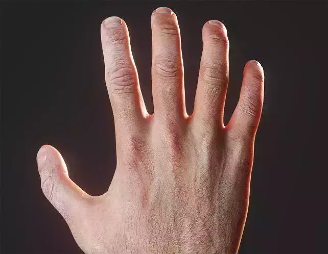 Rigged Hand model Photorealistic with Nails Low-poly 3D model
