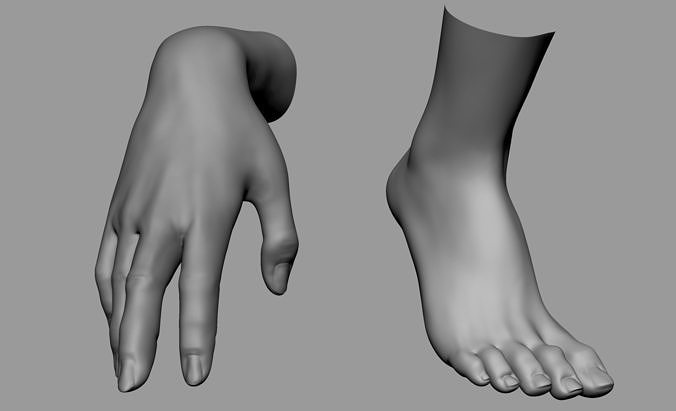 Female Hand Foot 3D model