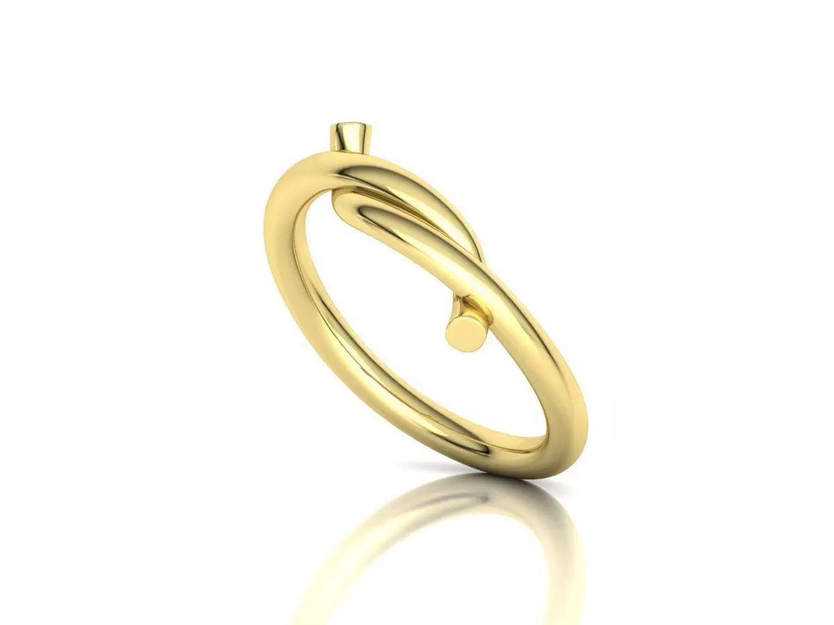 Classic Knot ring printable 3d model 3D print model_14