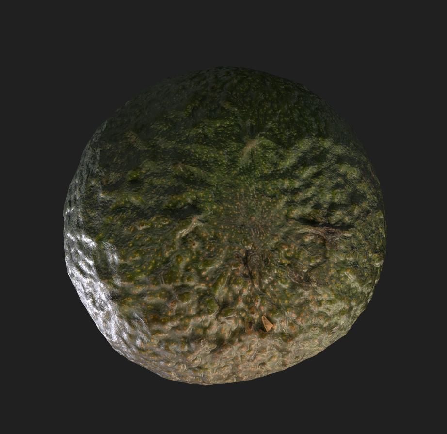 Avocado guava Low-poly 3D model_2