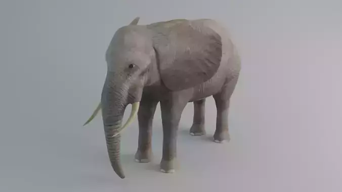 Elephant with tusks Low-poly 3D model