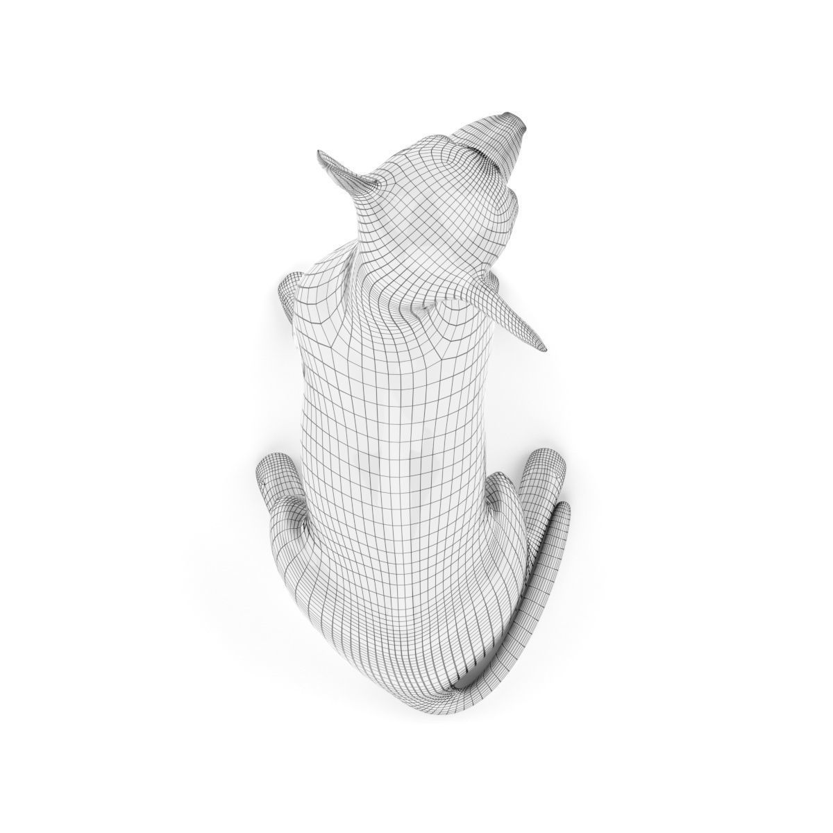 Graffiti Chihuahua 3D model_11