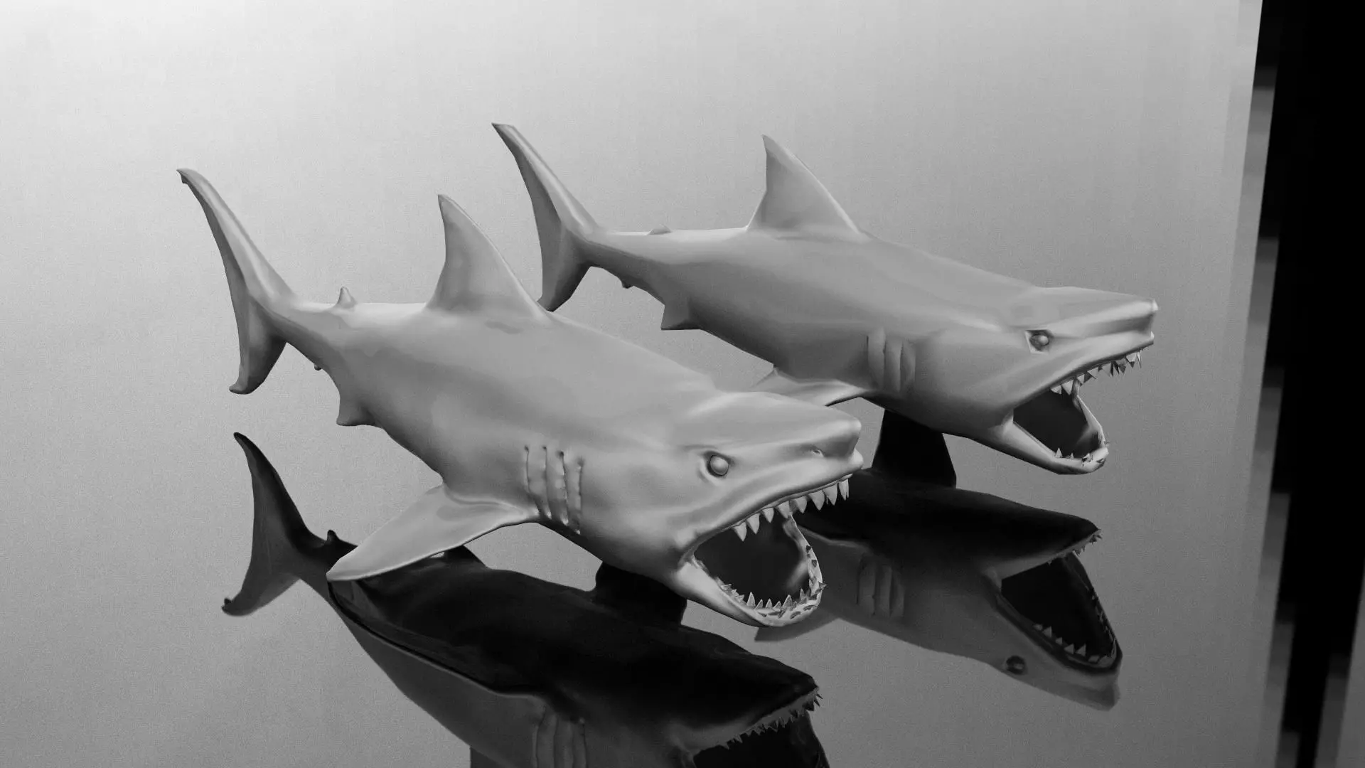 Shark 3D print model