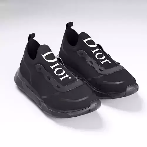 Dior B21 black shoes