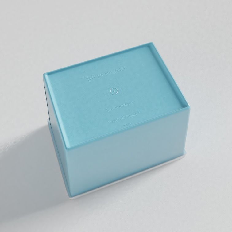 Tupperware Storage Container 3D model_3