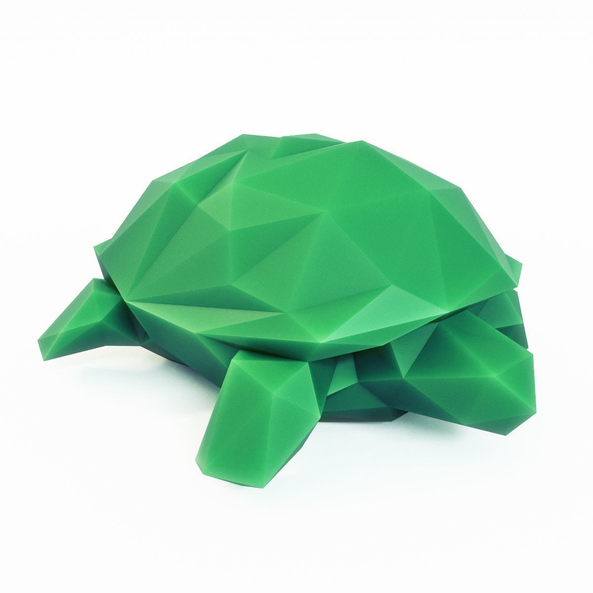 Turtle Low Poly Low-poly 3D model_4