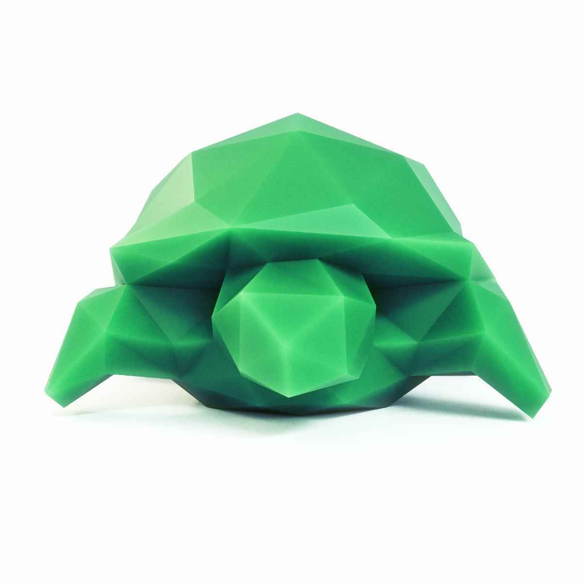 Turtle Low Poly Low-poly 3D model_5