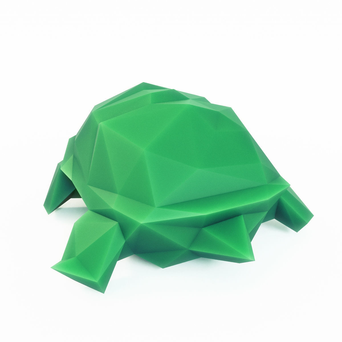 Turtle Low Poly Low-poly 3D model_2