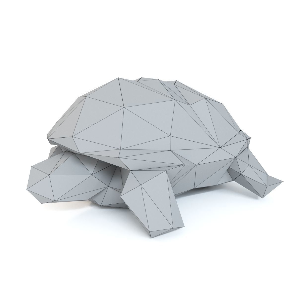 Turtle Low Poly Low-poly 3D model_6