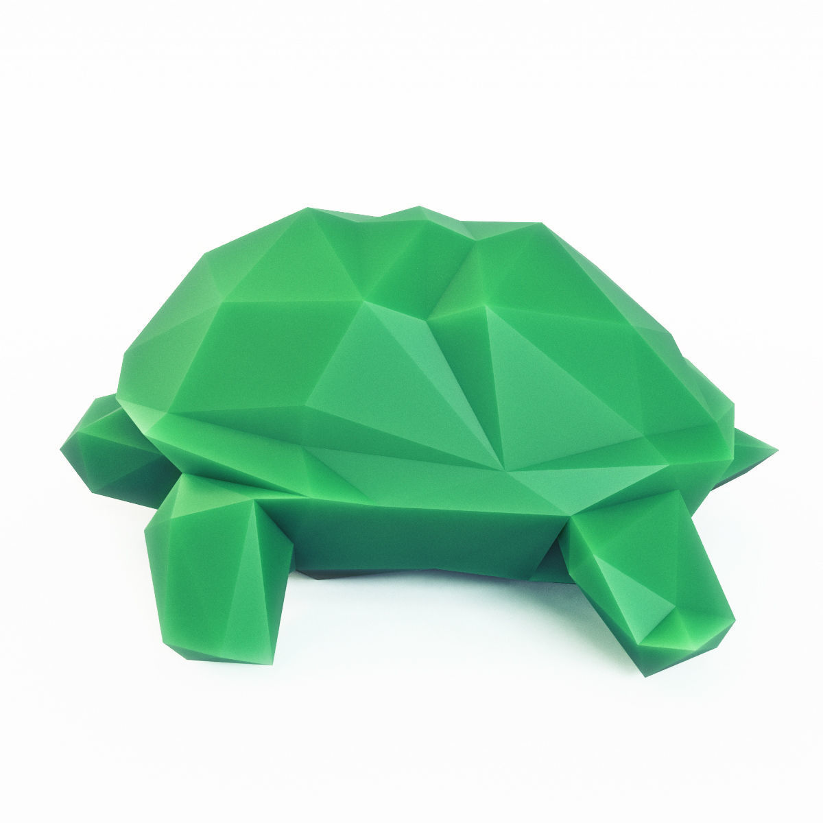 Turtle Low Poly Low-poly 3D model_1