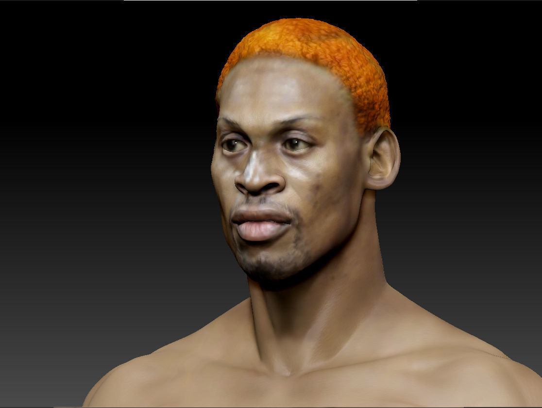 Dennis Rodman bust 3D print model_6