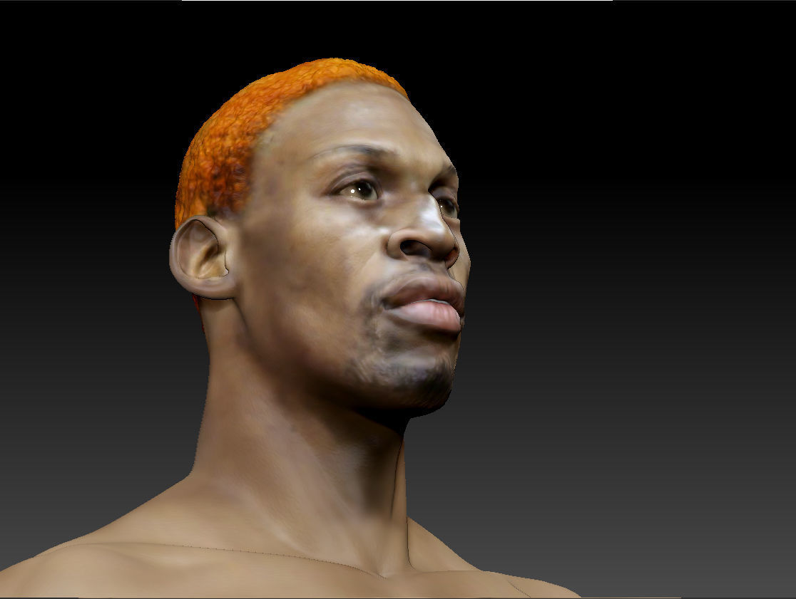 Dennis Rodman bust 3D print model_3