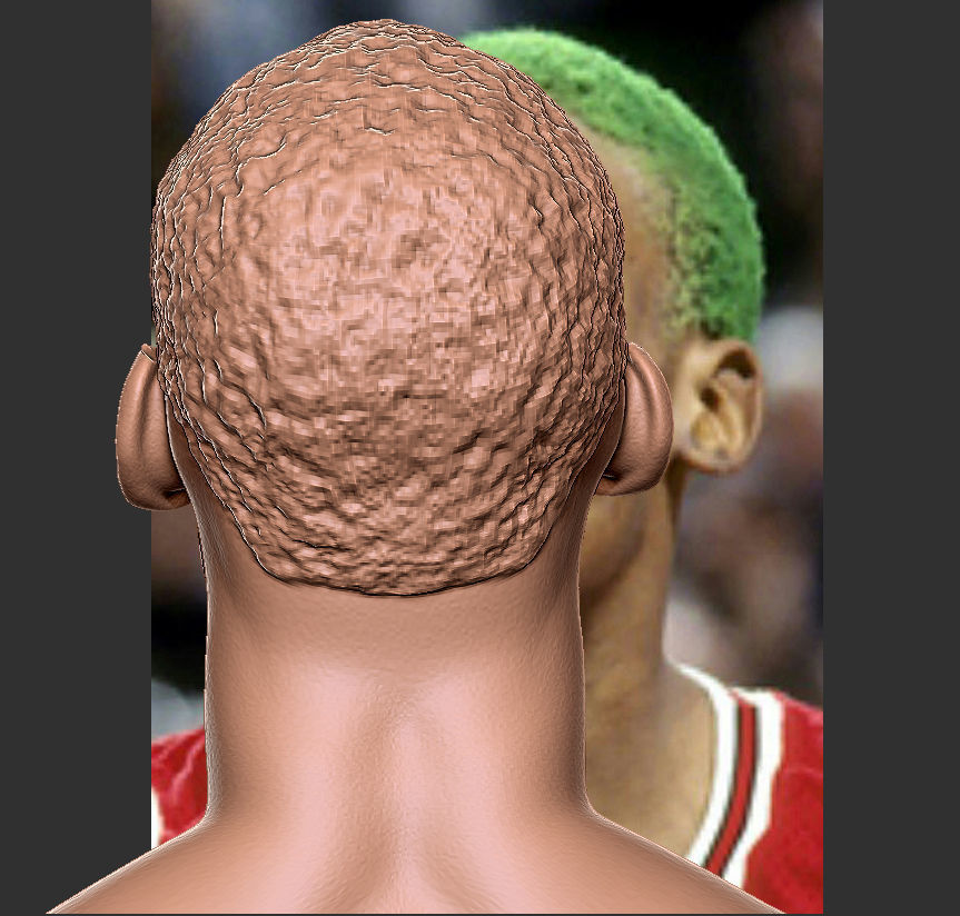 Dennis Rodman bust 3D print model_25