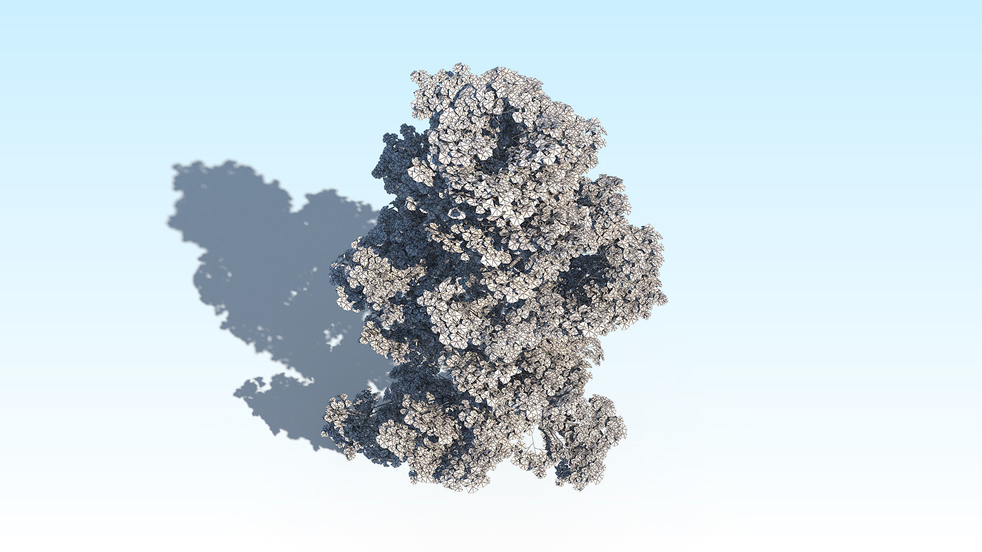 Maple Acer Tree 09 ArchViz 3D model 3D model_22