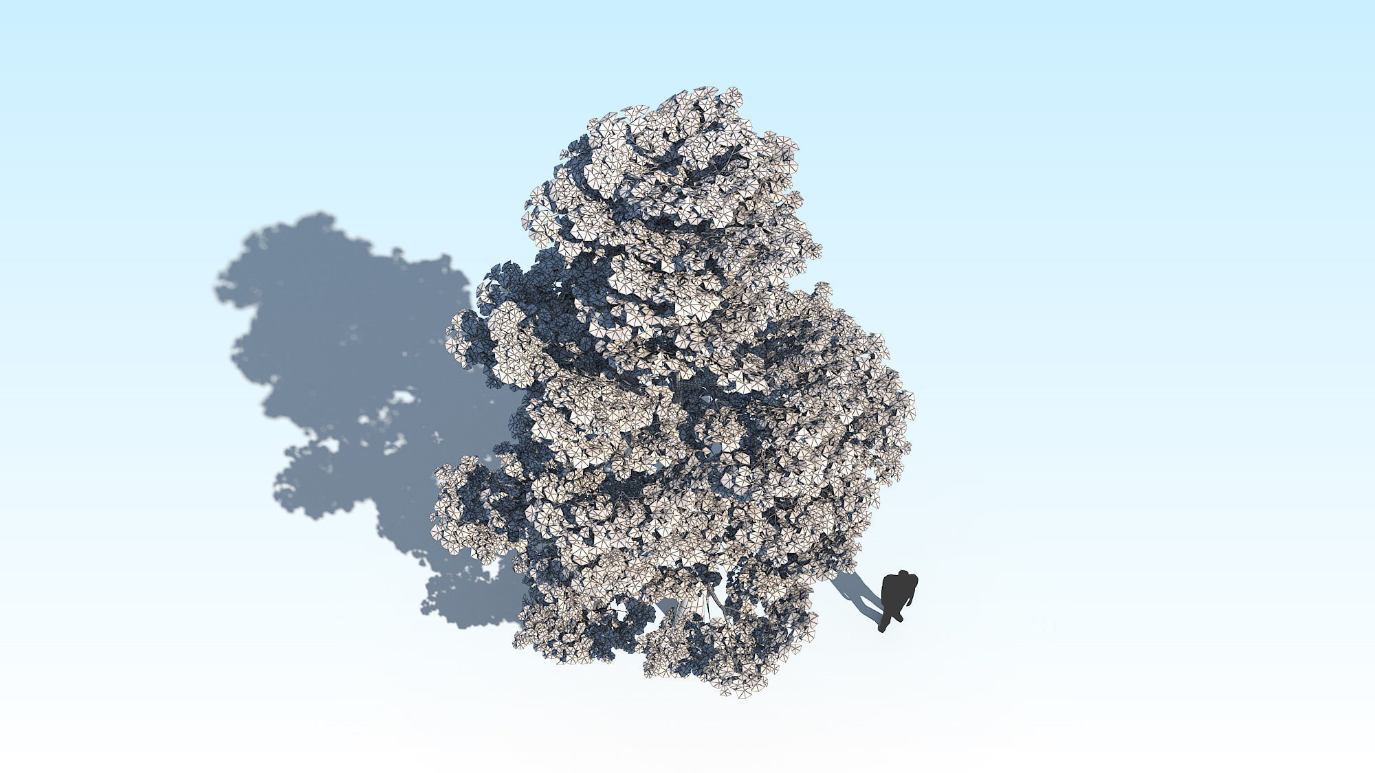 Maple Acer Tree 09 ArchViz 3D model 3D model_19