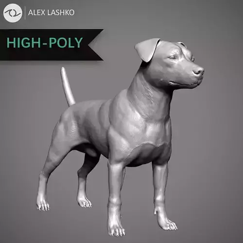 Jack Russell High-Poly 3D print model
