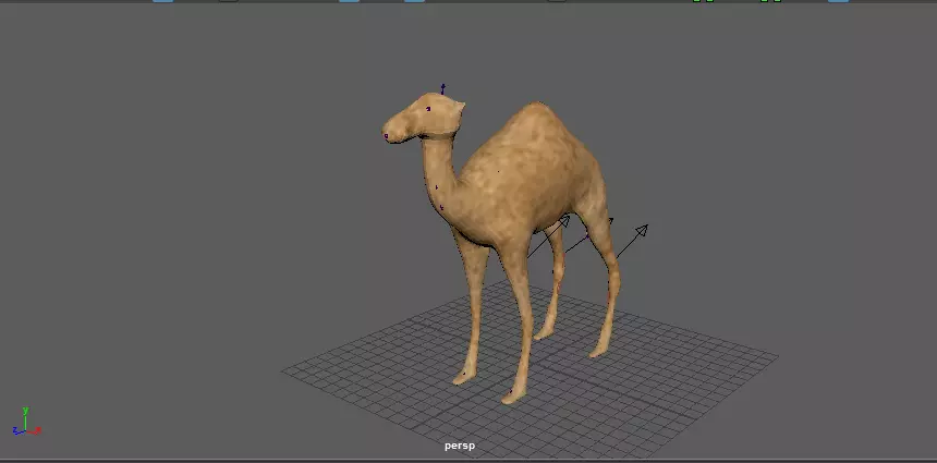 Camle model camel Free 3D model