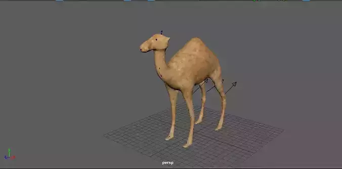 Camle model camel Free 3D model
