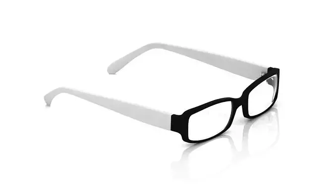 Eyeglasses for Men and Women 3D print model