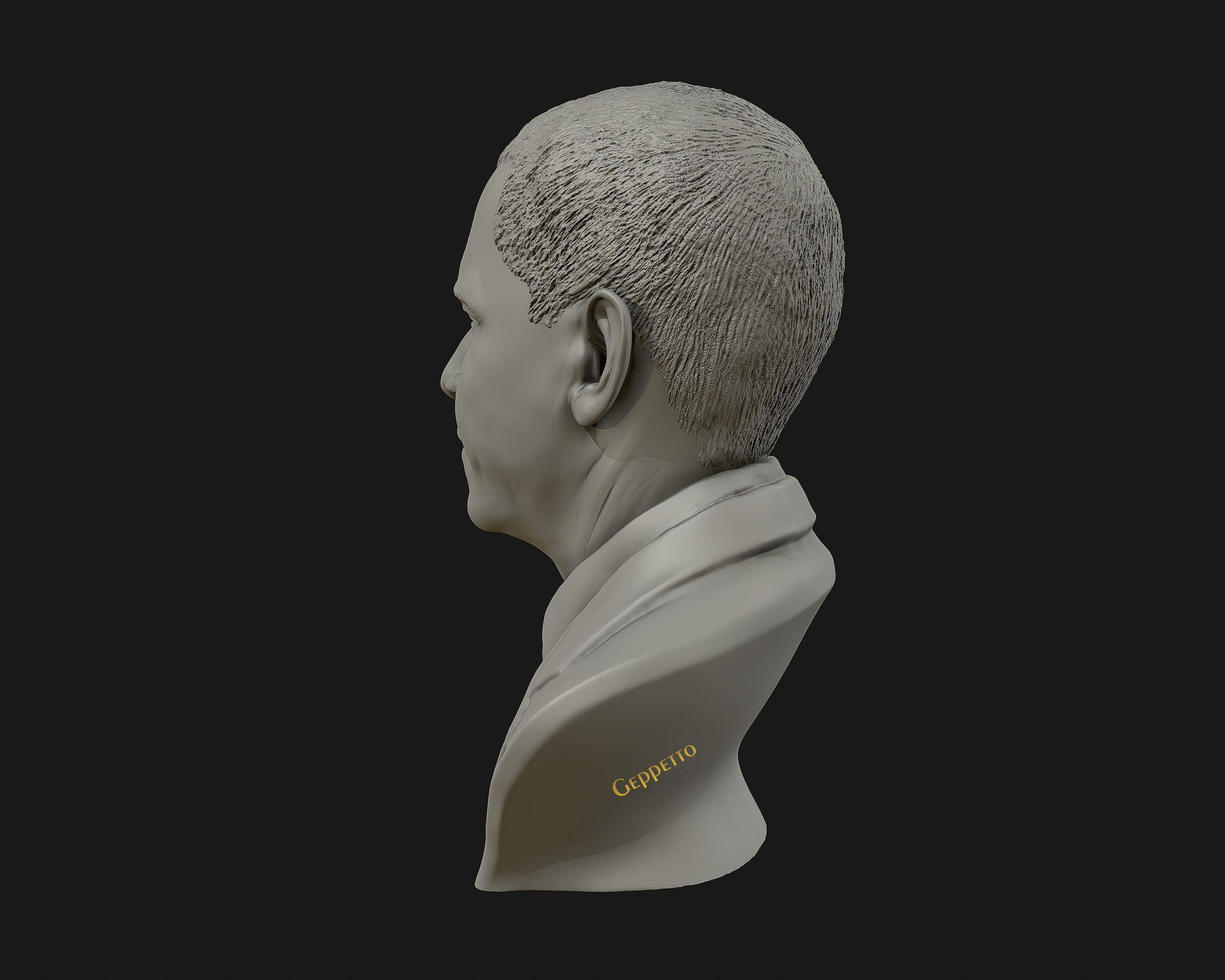 Barack Obama Bust ready to 3D print 3D print model_14