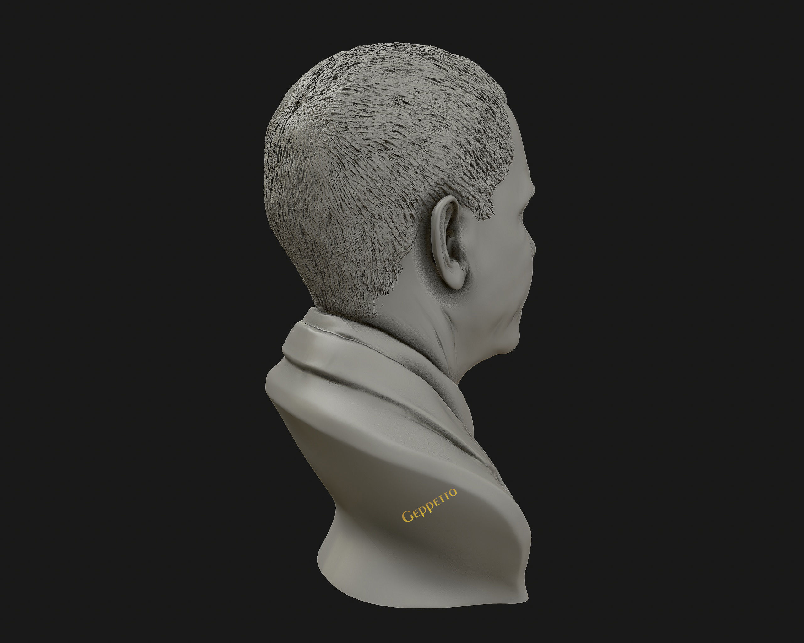 Barack Obama Bust ready to 3D print 3D print model_15