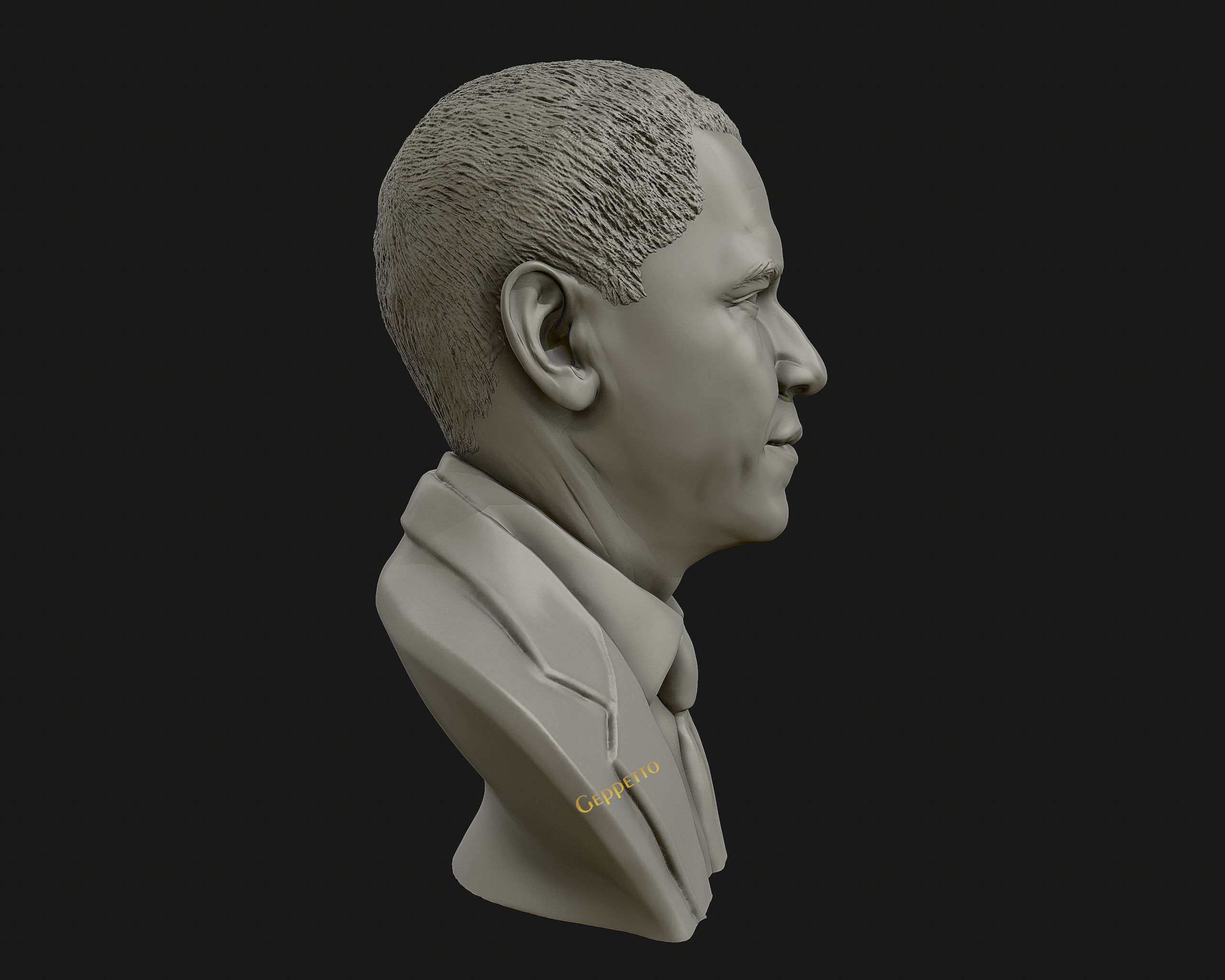 Barack Obama Bust ready to 3D print 3D print model_18