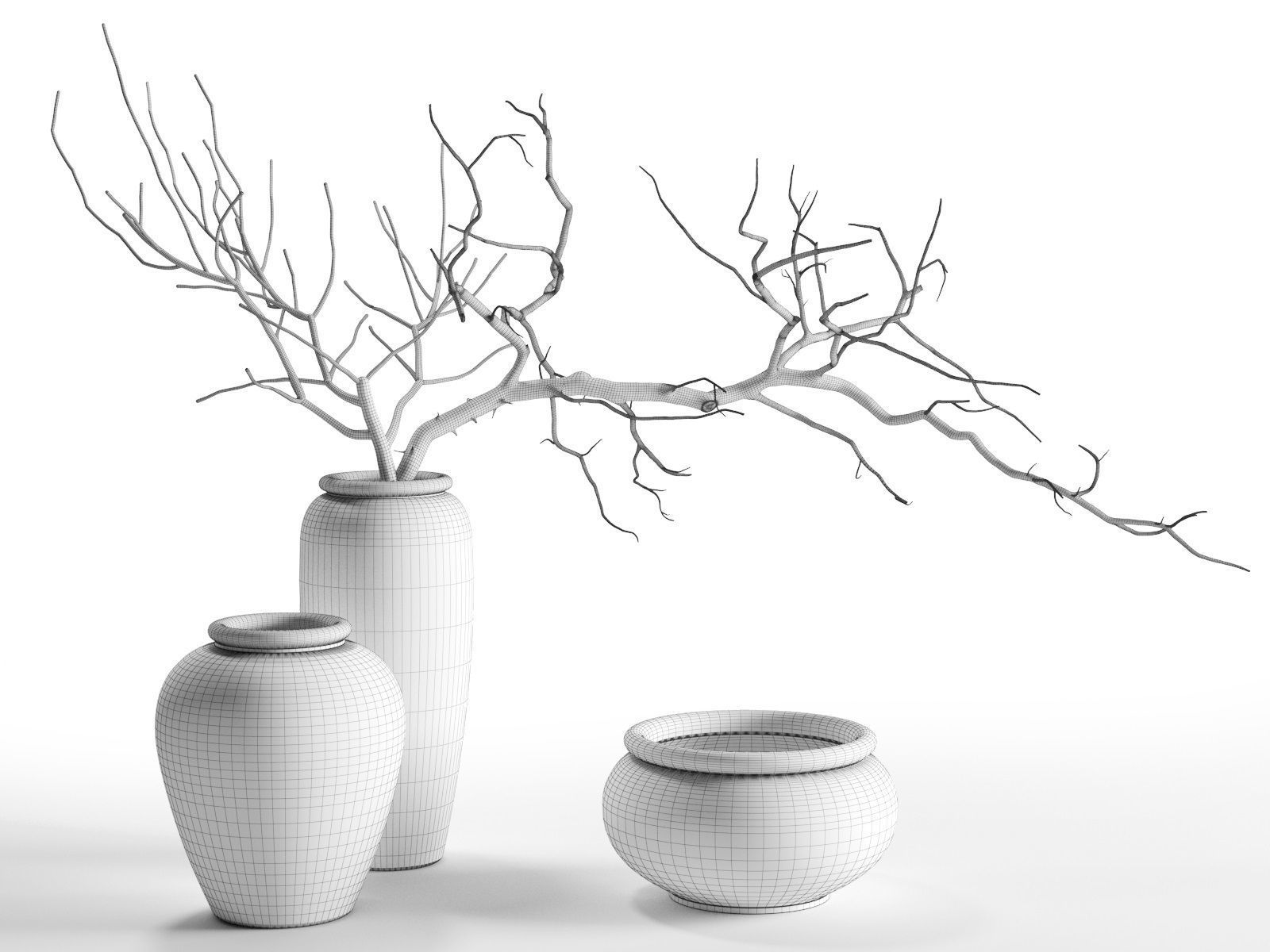 Branches in Vases Free 3D model_3