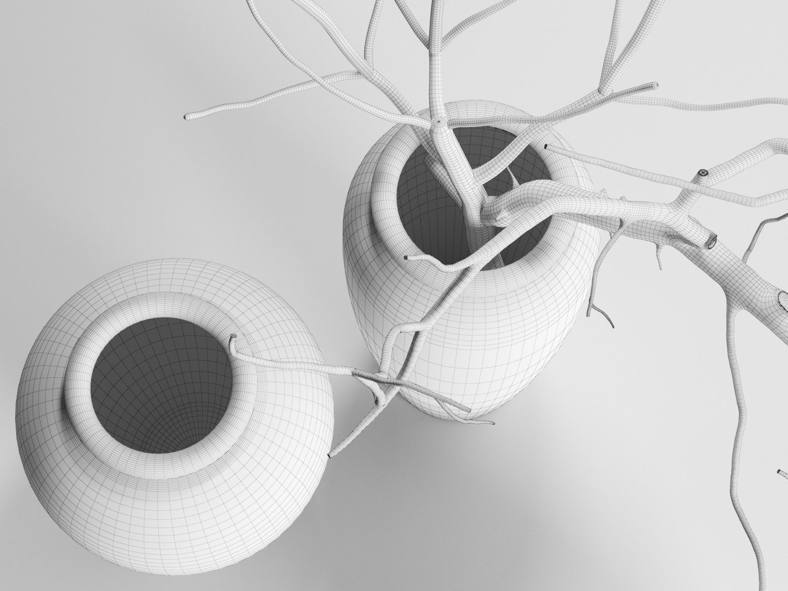 Branches in Vases Free 3D model_4