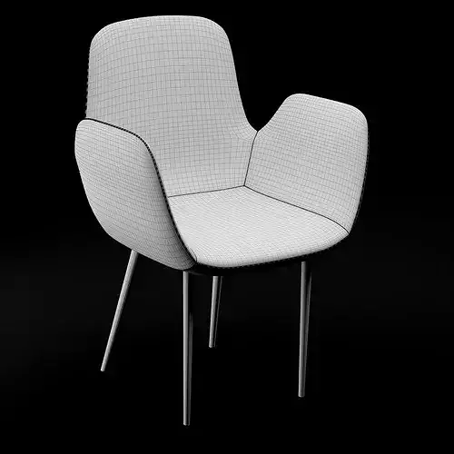 BT design Daisy type 6 3D model 4