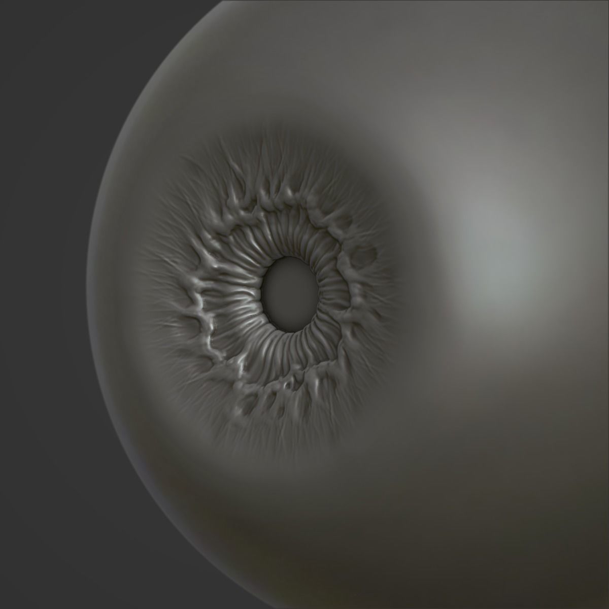 Eye Human  3D model_4