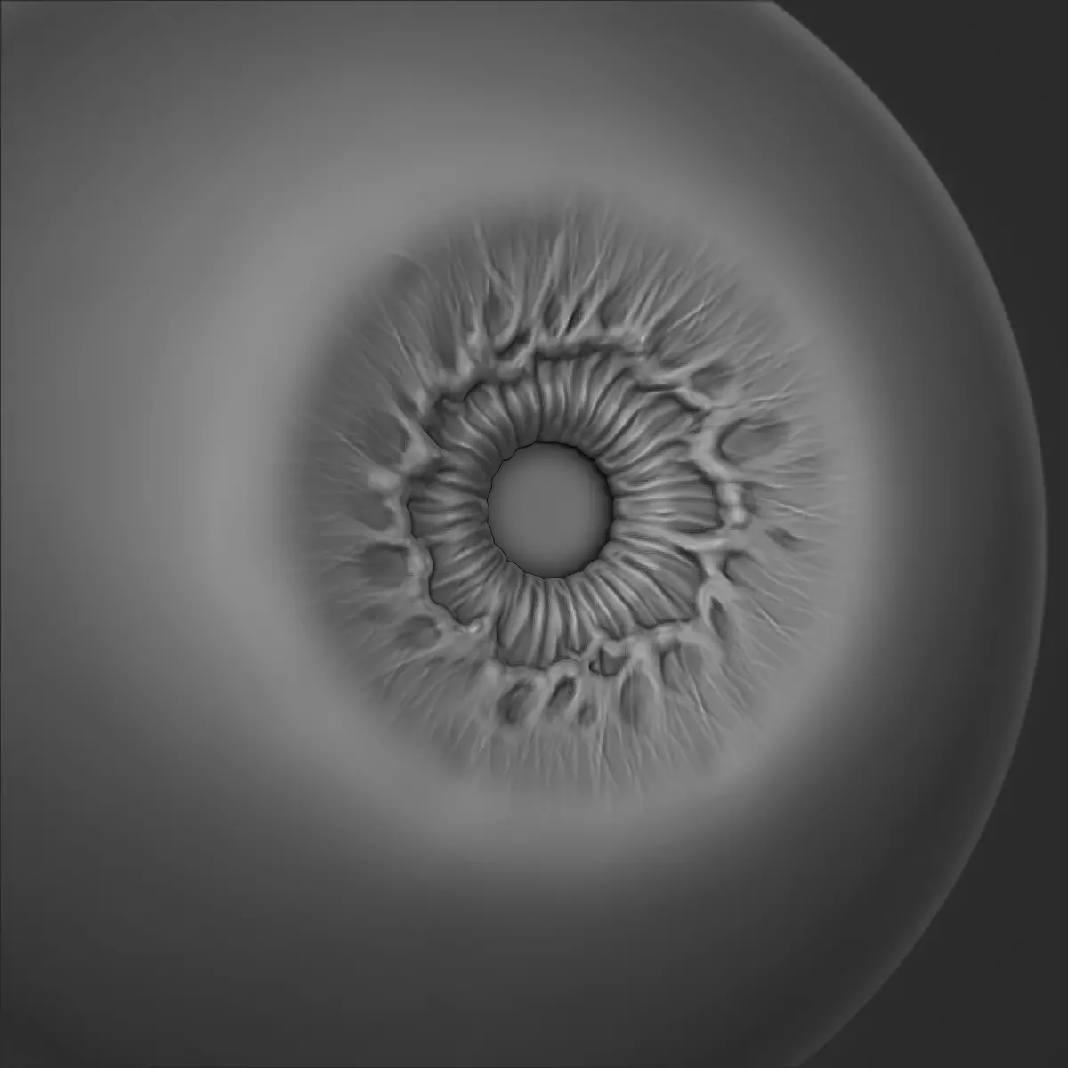 Eye Human  3D model_0