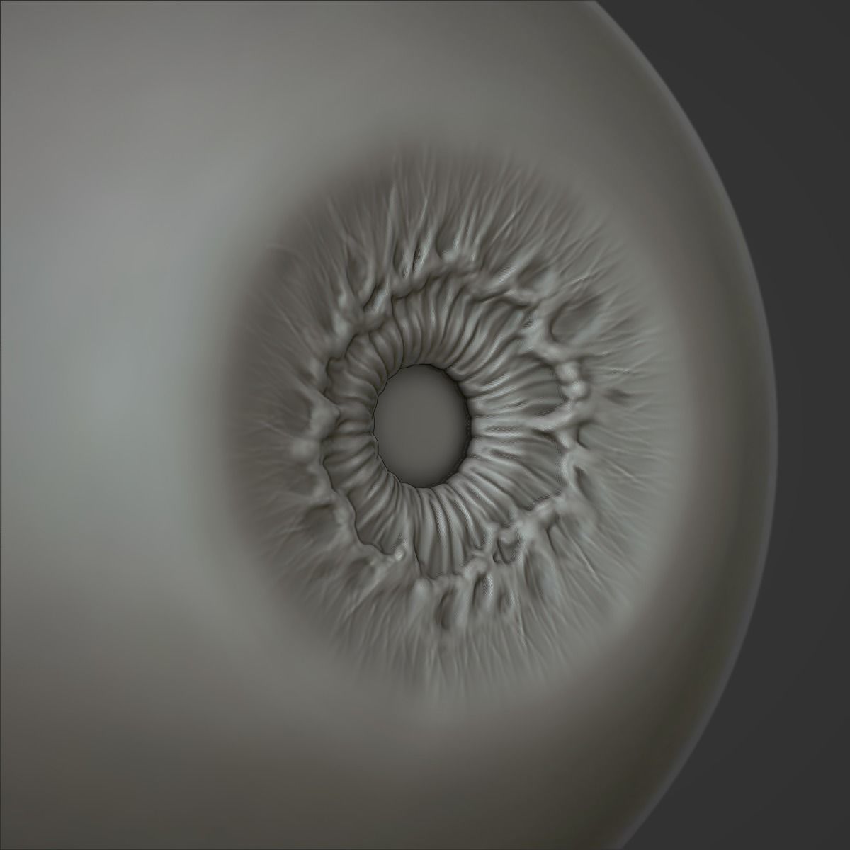 Eye Human  3D model_1