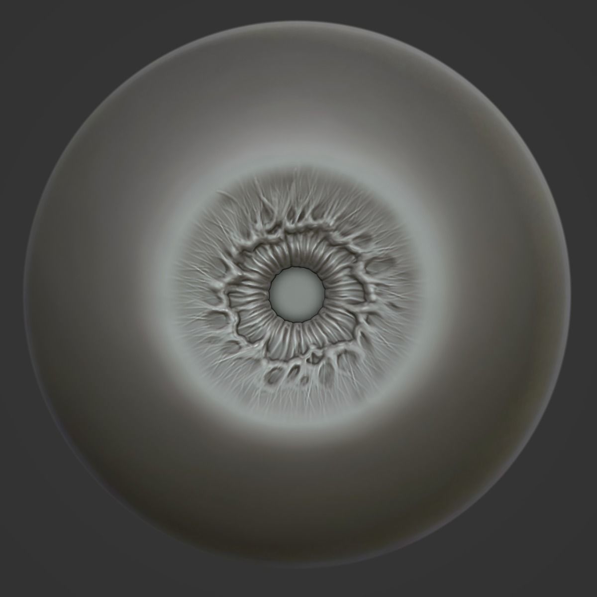 Eye Human  3D model_2