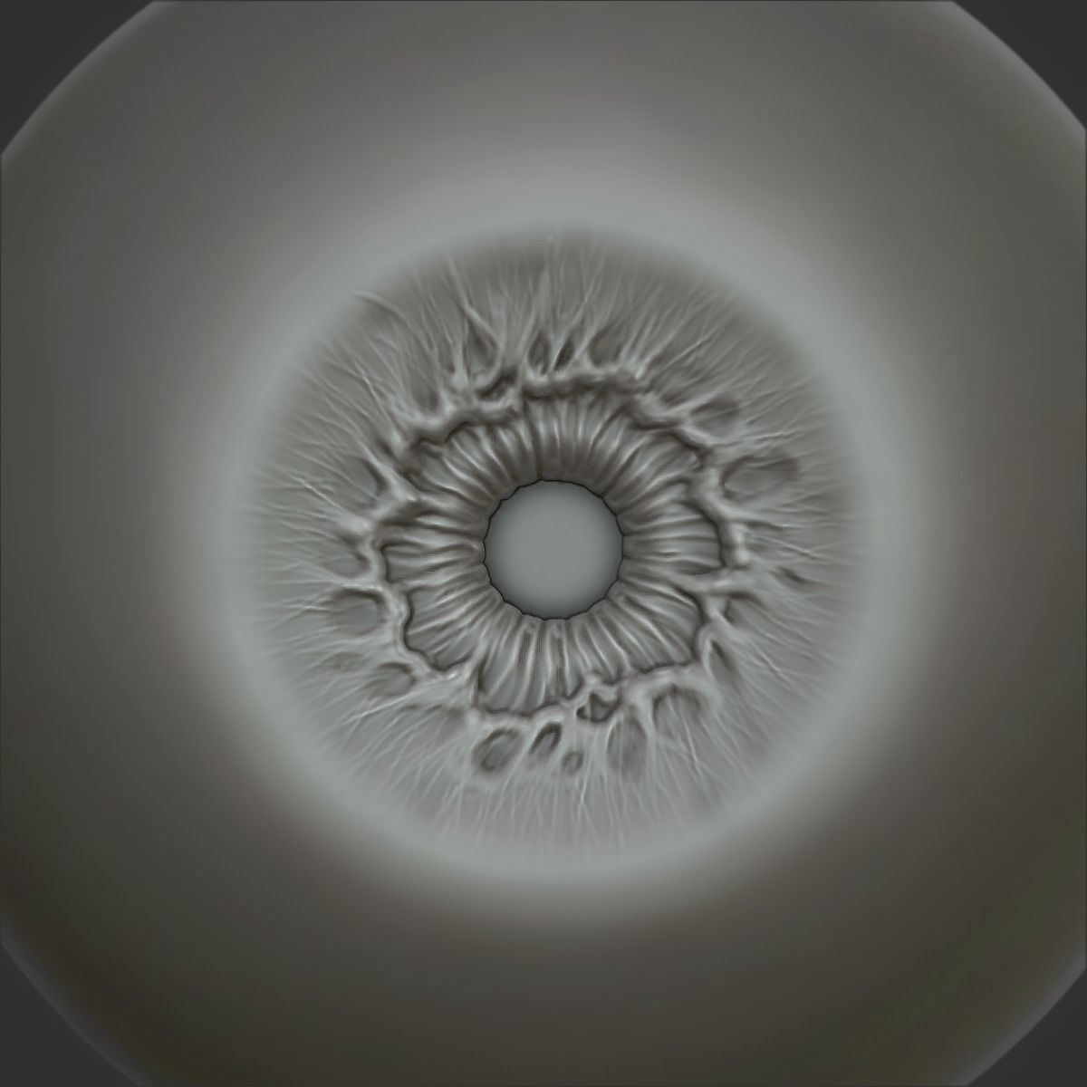 Eye Human  3D model_3