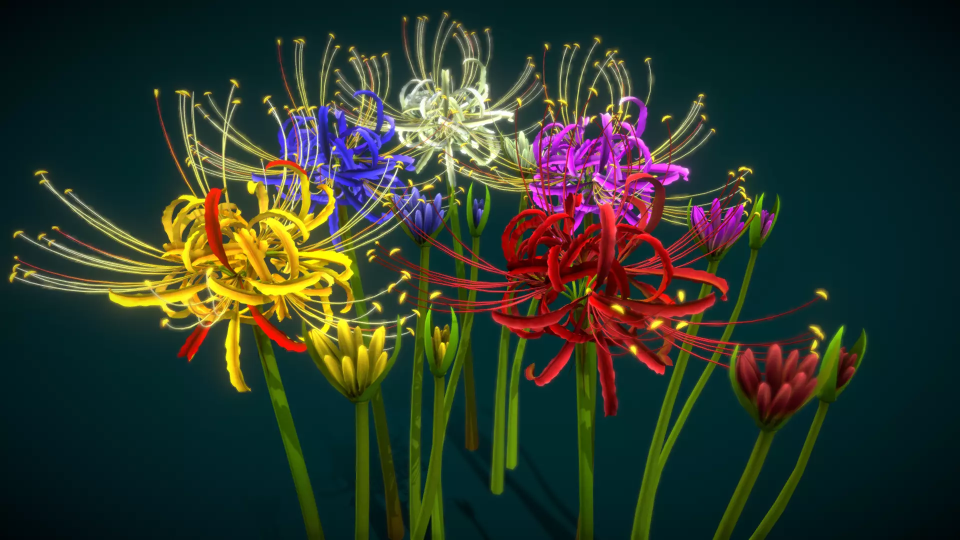 Flower Lycoris Radiata Low-poly 3D model