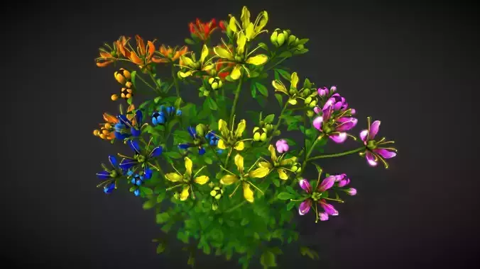 Flower Ruta Graveolens Low-poly 3D model