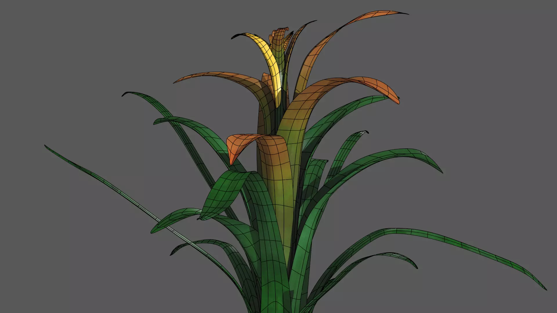 Bromeliaceae planta bromelia plant Free 3D model