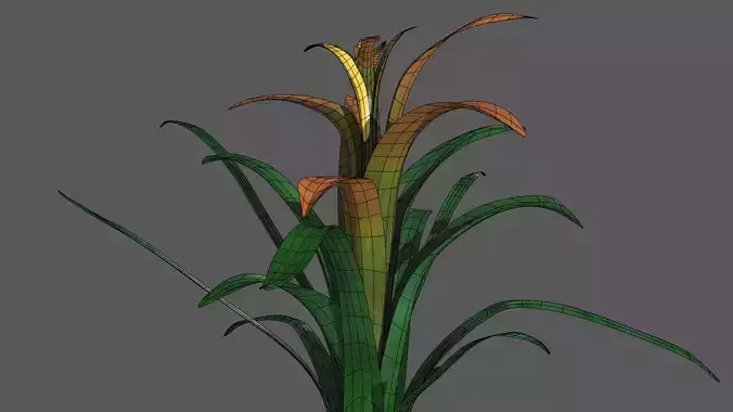 Bromeliaceae planta bromelia plant