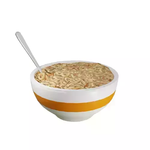 Bowl of Cereal